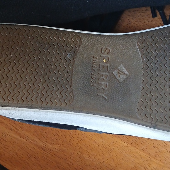 Sperry Black Canvas Sneakers - Picture 6 of 6
